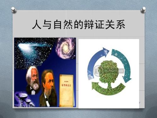 简述人与自然的关系