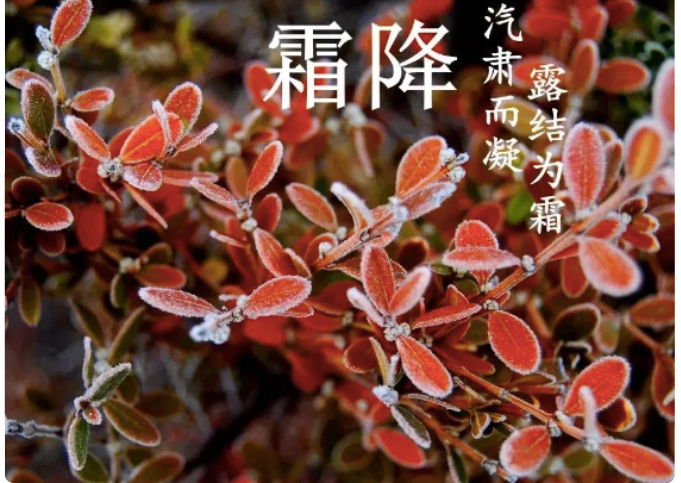 霜降节气的含义是什么?