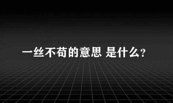 一丝不苟的意思 是什么？