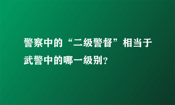 警察中的“二级警督”相当于武警中的哪一级别？