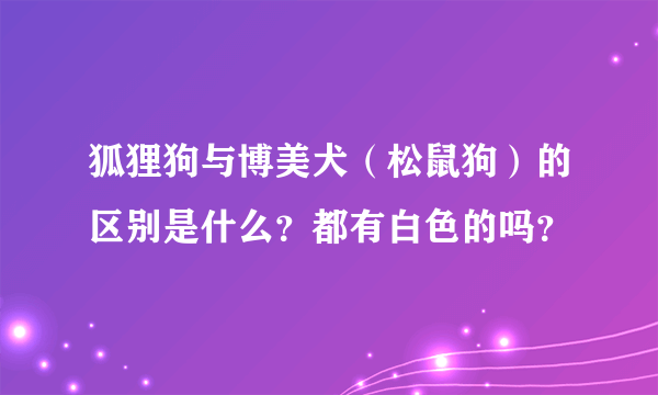 狐狸狗与博美犬（松鼠狗）的区别是什么？都有白色的吗？