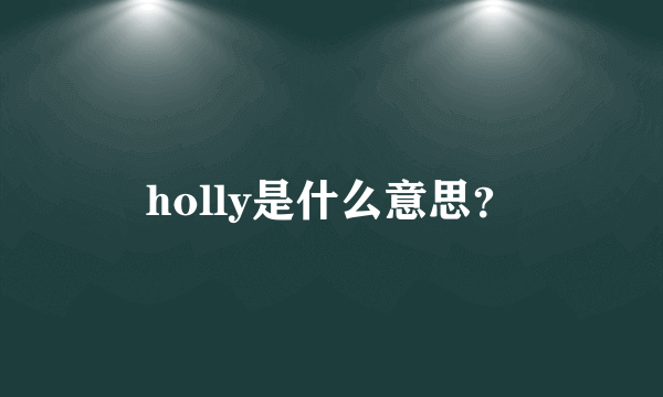 holly是什么意思？