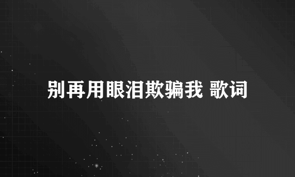 别再用眼泪欺骗我 歌词