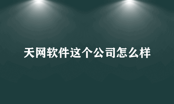 天网软件这个公司怎么样