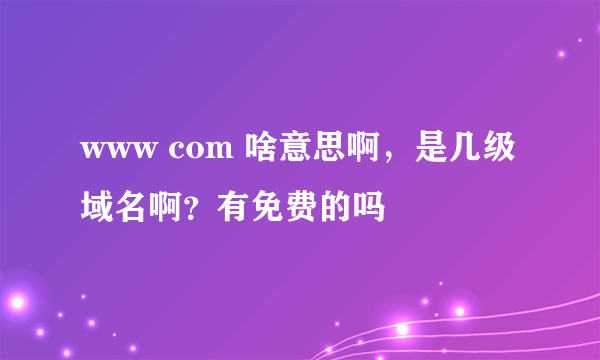 www com 啥意思啊，是几级域名啊？有免费的吗