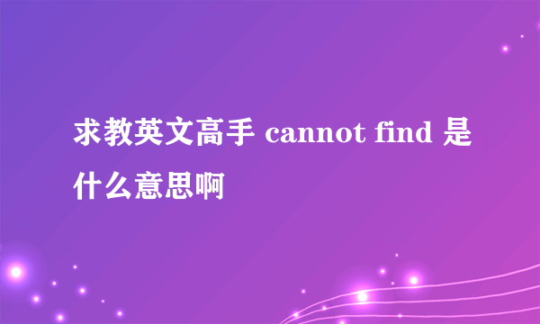 求教英文高手 cannot find 是什么意思啊