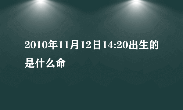 2010年11月12日14:20出生的是什么命