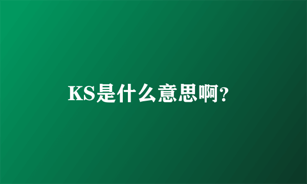 KS是什么意思啊？