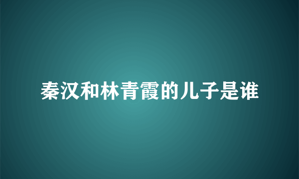 秦汉和林青霞的儿子是谁