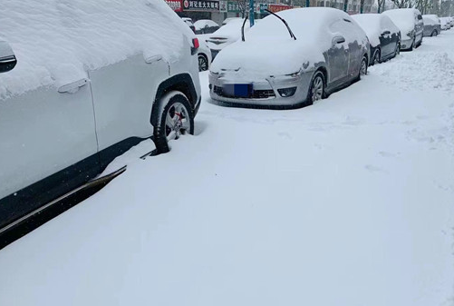 应对暴雪，哈尔滨进入临战状态，这场暴雪给当地的交通造成了哪些影响？