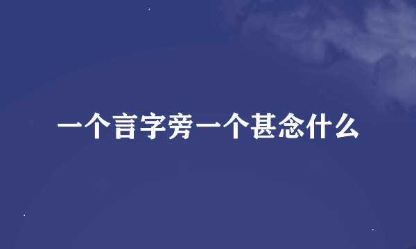 一个言字旁一个甚念什么