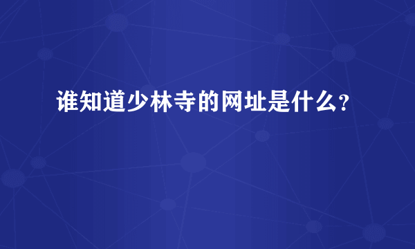 谁知道少林寺的网址是什么？