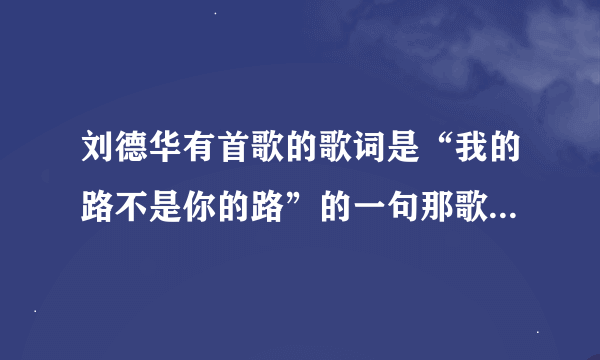 刘德华有首歌的歌词是“我的路不是你的路”的一句那歌叫什么名字