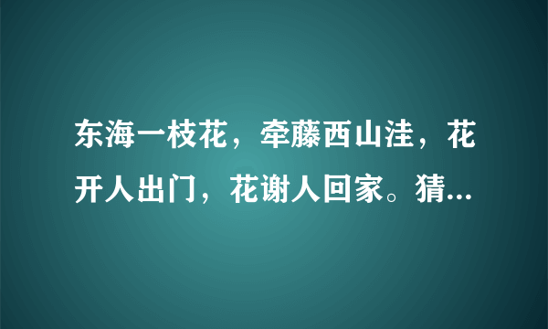 东海一枝花，牵藤西山洼，花开人出门，花谢人回家。猜一生肖。