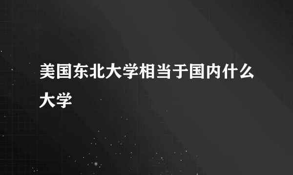 美国东北大学相当于国内什么大学