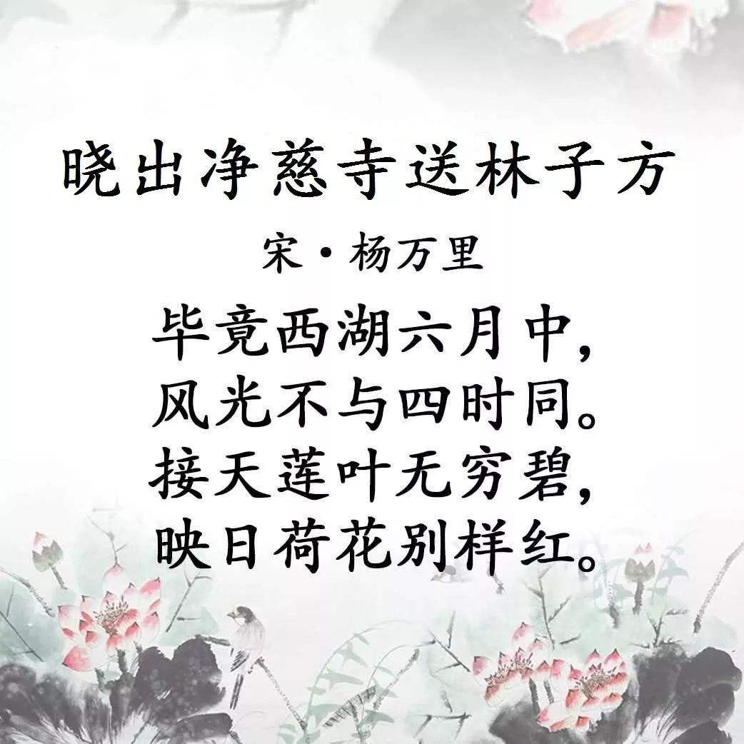 晓出净慈寺送林子方这首诗的主要意思