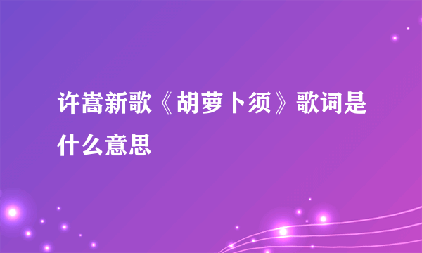 许嵩新歌《胡萝卜须》歌词是什么意思