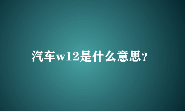 汽车w12是什么意思？