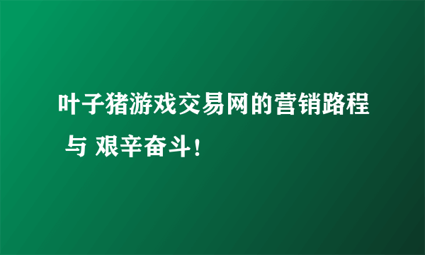 叶子猪游戏交易网的营销路程 与 艰辛奋斗！