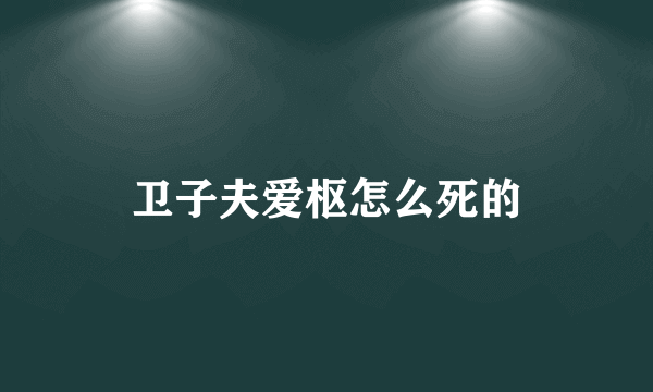 卫子夫爱枢怎么死的