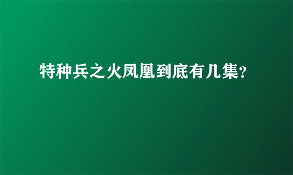 特种兵之火凤凰到底有几集？