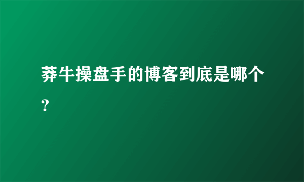 莽牛操盘手的博客到底是哪个？