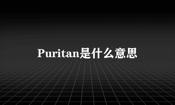 Puritan是什么意思