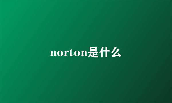 norton是什么