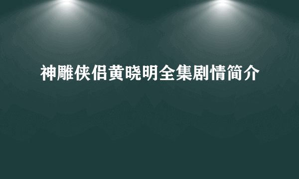 神雕侠侣黄晓明全集剧情简介