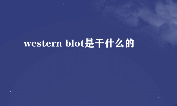 western blot是干什么的