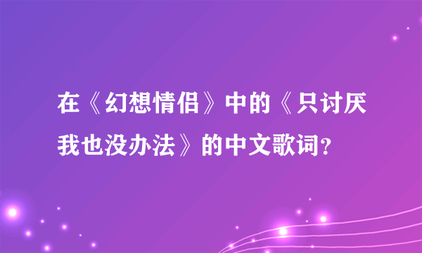 在《幻想情侣》中的《只讨厌我也没办法》的中文歌词？