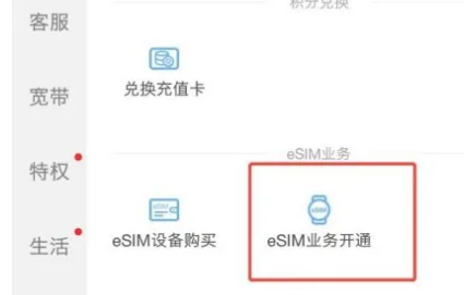 esim卡怎么办理