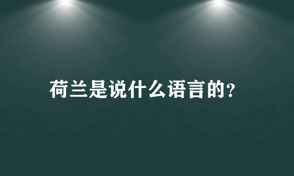 荷兰是说什么语言的？