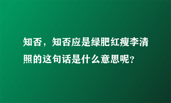 知否，知否应是绿肥红瘦李清照的这句话是什么意思呢？