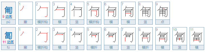 匍匐的拼音