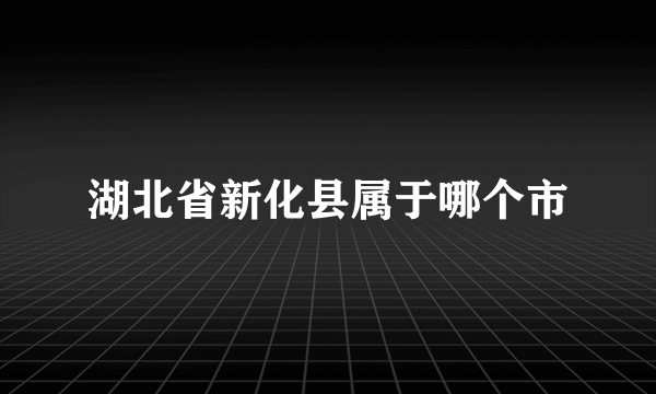 湖北省新化县属于哪个市