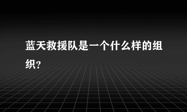 蓝天救援队是一个什么样的组织？