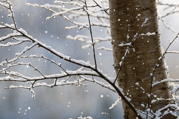 除却君身三重雪，天下谁人配白衣。这句话出自哪里？