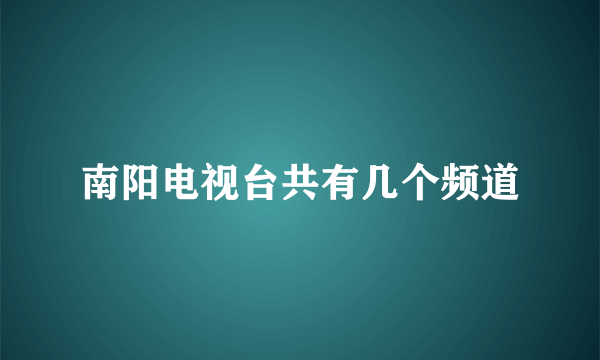 南阳电视台共有几个频道