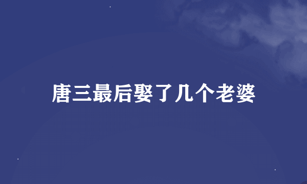 唐三最后娶了几个老婆