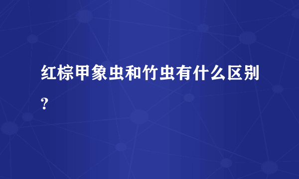 红棕甲象虫和竹虫有什么区别？