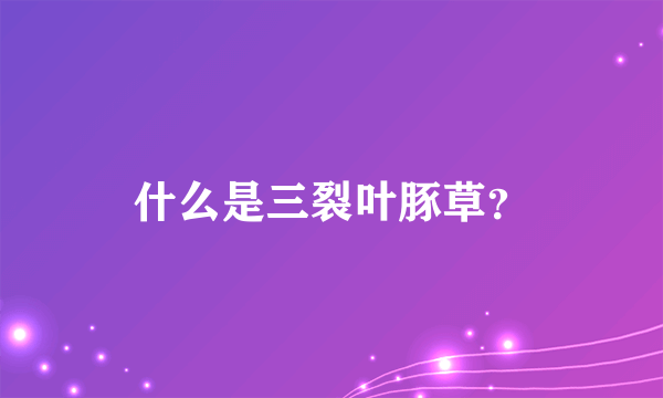 什么是三裂叶豚草？