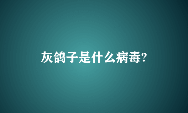 灰鸽子是什么病毒?