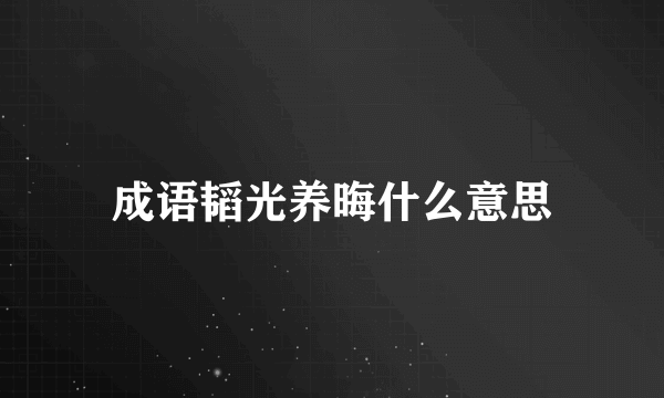 成语韬光养晦什么意思