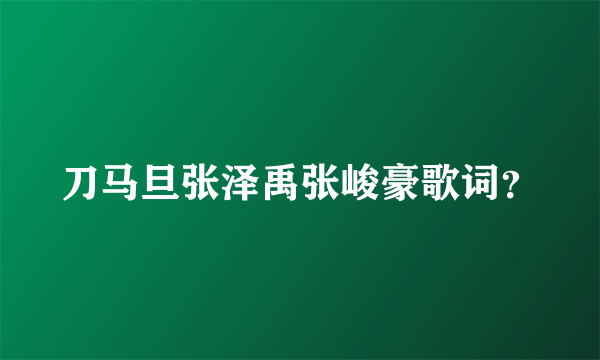 刀马旦张泽禹张峻豪歌词？