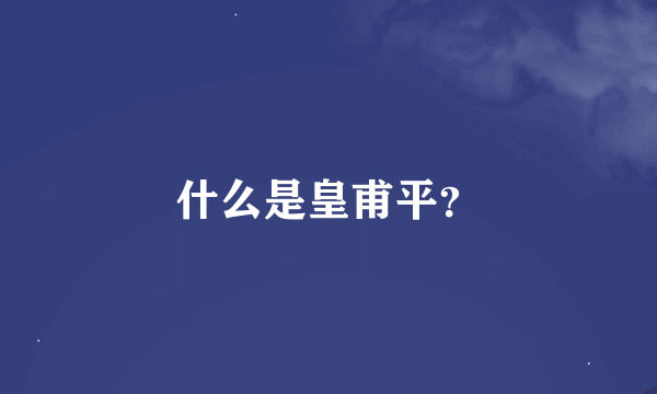 什么是皇甫平？