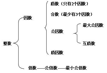 倍数和因数是什么意思。 全面点