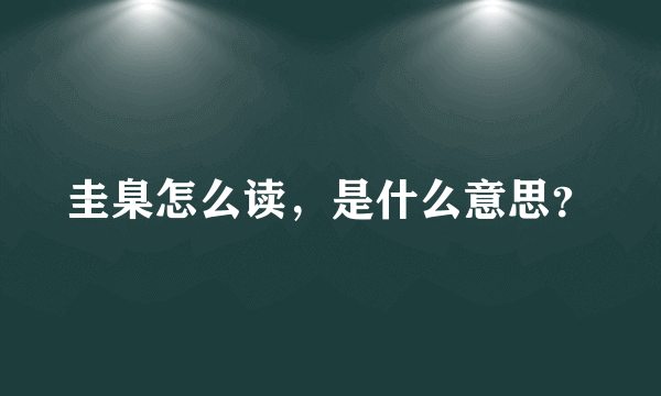 圭臬怎么读，是什么意思？