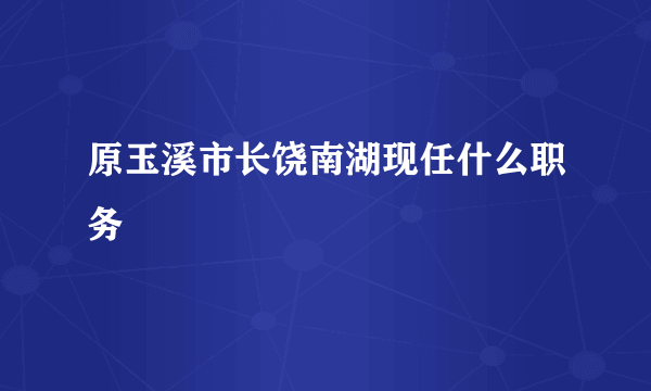 原玉溪市长饶南湖现任什么职务