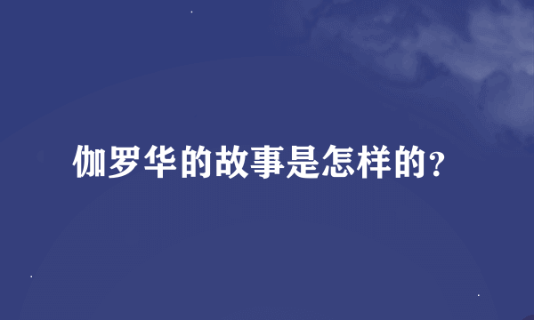 伽罗华的故事是怎样的？